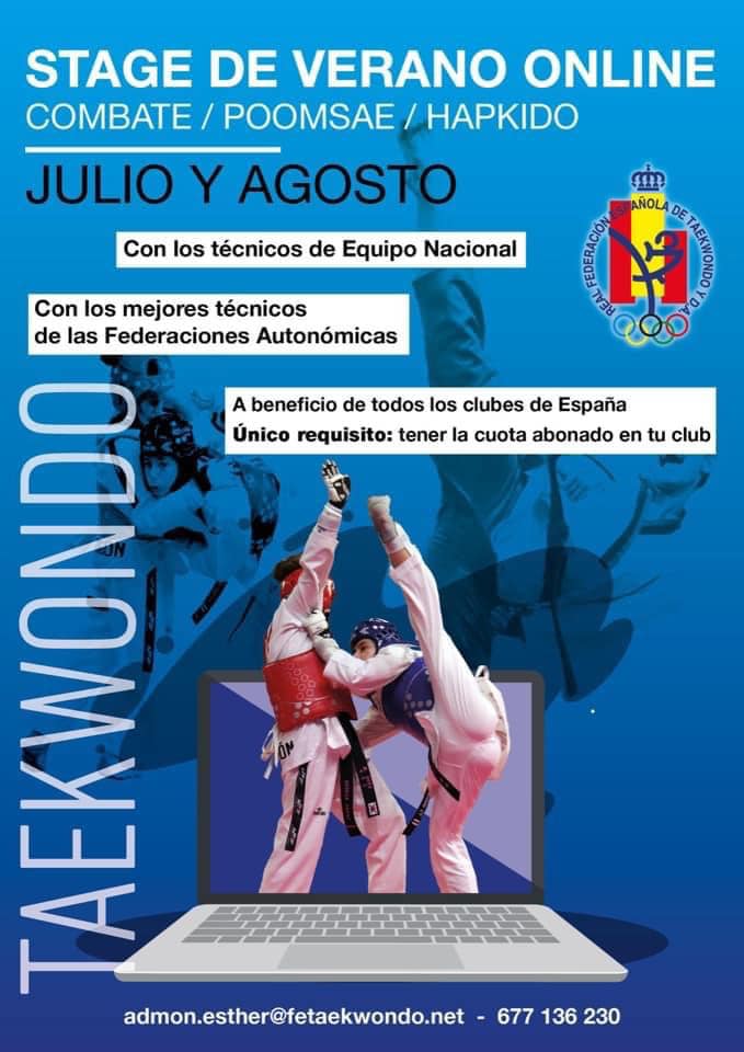 Stage de Verano Online